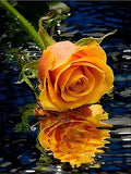 Rose 5d Diy Diamond Painting Diamant Malerei Set AF9348