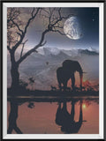 Elefant 5d Diy Diamond Painting Diamant Malerei Set DE487655990