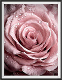 Rose 5d Diy Diamond Painting Diamant Malerei Set DP2396