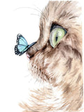 Katze 5d Diy Diamond Painting Diamant Malerei Set DS168202549