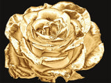 Rose 5d Diy Diamond Painting Diamant Malerei Set DS174330034