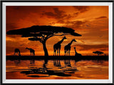 Giraffe 5d Diy Diamond Painting Diamant Malerei Set DS22539997