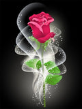 Rose 5d Diy Diamond Painting Diamant Malerei Set DS33778735