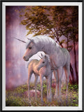 Einhorn 5d Diy Diamond Painting Diamant Malerei Set DS40611810