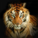 Tiger 5d Diy Diamond Painting Diamant Malerei Set DS6825186