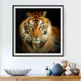 Tiger 5d Diy Diamond Painting Diamant Malerei Set DS6825186
