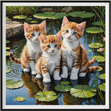 Katze 5d Diamond Painting /Diamant Malerei Set FL3164