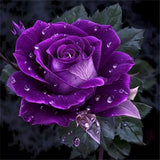 Rose 5d Diy Diamond Painting Diamant Malerei Set FL4085
