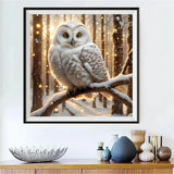 Eule 5d Diy Diamond Painting Diamant Malerei Set FL4269