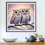 Eule 5d Diy Diamond Painting Diamant Malerei Set FL4272