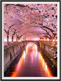 Natur 5d Diy Diamond Painting Diamant Malerei Set FL4549