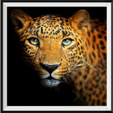 Leopard 5d Diy Diamond Painting Diamant Malerei Set IT183959155