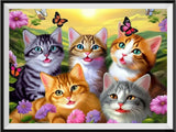 Katze 5d Diy Diamond Painting Diamant Malerei Set MJ1052