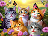 Katze 5d Diy Diamond Painting Diamant Malerei Set MJ1052