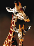 Giraffe 5d Diy Diamond Painting Diamant Malerei Set MJ2230