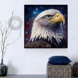 Adler 5d Diy Diamond Painting Diamant Malerei Set MJ2269
