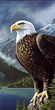 Adler 5d Diy Diamond Painting Diamant Malerei Set MJ2274