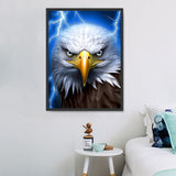 Adler 5d Diy Diamond Painting Diamant Malerei Set MJ2279
