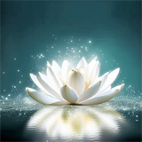 Lotus 5d Diy Diamond Painting Diamant Malerei Set MJ2630