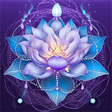 Lotus 5d Diy Diamond Painting Diamant Malerei Set MJ2631
