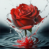 Rose 5d Diy Diamond Painting Diamant Malerei Set MJ2657