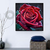 Rose 5d Diy Diamond Painting Diamant Malerei Set MJ2662