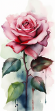 Rose 5d Diy Diamond Painting Diamant Malerei Set MJ2678