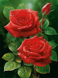 Rose 5d Diy Diamond Painting Diamant Malerei Set MJ2707