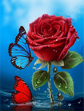 Rose 5d Diy Diamond Painting Diamant Malerei Set MJ2714