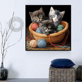 Katze 5d Diy Diamond Painting Diamant Malerei Set MJ2866
