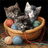Katze 5d Diy Diamond Painting Diamant Malerei Set MJ2866
