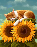 Katze 5d Diy Diamond Painting Diamant Malerei Set MJ2878