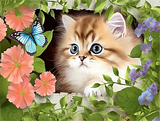 Katze 5d Diy Diamond Painting Diamant Malerei Set MJ2884