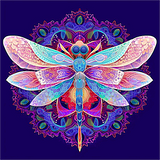 Libelle 5d Diy Diamond Painting Diamant Malerei Set MJ2890