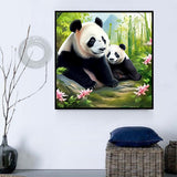 Panda 5d Diy Diamond Painting Diamant Malerei Set MJ8060