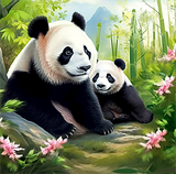 Panda 5d Diy Diamond Painting Diamant Malerei Set MJ8060