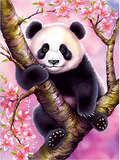 Panda 5d Diy Diamond Painting Diamant Malerei Set MJ8080