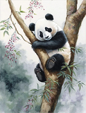 Panda 5d Diy Diamond Painting Diamant Malerei Set MJ8081