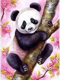 Panda 5d Diy Diamond Painting Diamant Malerei Set MJ8082