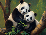 Panda 5d Diy Diamond Painting Diamant Malerei Set MJ8097