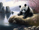 Panda 5d Diy Diamond Painting Diamant Malerei Set MJ8099