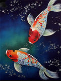 Fisch 5d Diy Diamond Painting Diamant Malerei Set MJ8115