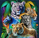 Tier 5d Diy Diamond Painting Diamant Malerei Set MJ8979