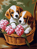 Hund 5d Diy Diamond Painting Diamant Malerei Set MJ8997