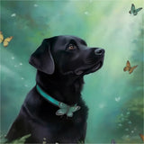 Hund 5d Diy Diamond Painting Diamant Malerei Set MJ9001