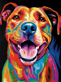 Hund 5d Diy Diamond Painting Diamant Malerei Set MJ9136