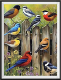 Vogel 5d Diy Diamond Painting Diamant Malerei Set MJ9923