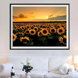 Sonnenblumen 5D Diamond Painting /Diamant Malerei Set NA0060