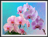 Blume 5d Diy Diamond Painting Diamant Malerei Set PX2710590