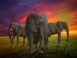 Elefant 5d Diy Diamond Painting Diamant Malerei Set PX4699717